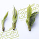 杭州茶日历