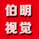 伯明视觉科技
