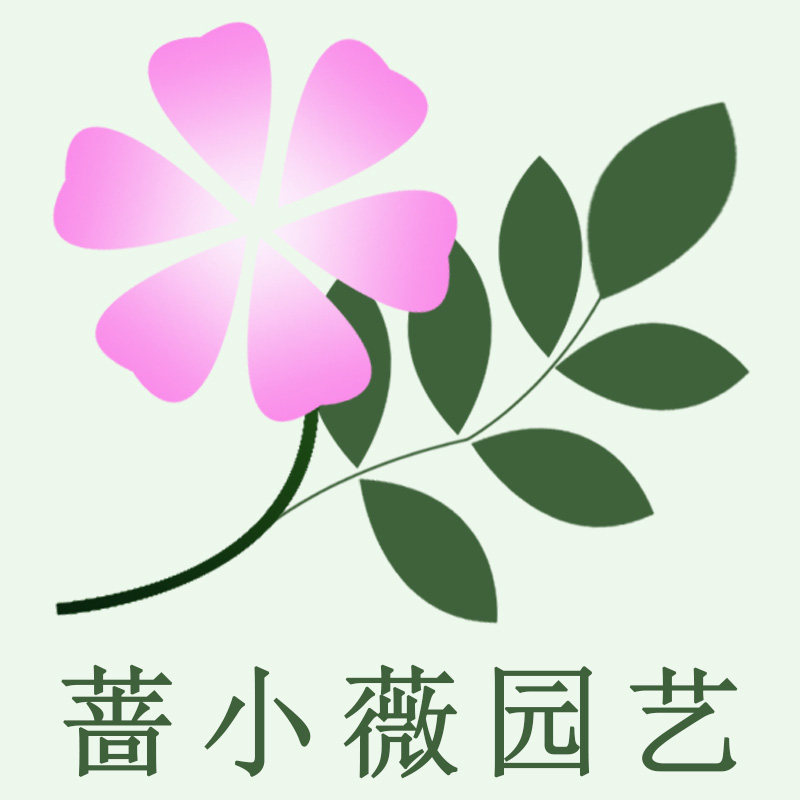蔷小薇园艺的LOGO