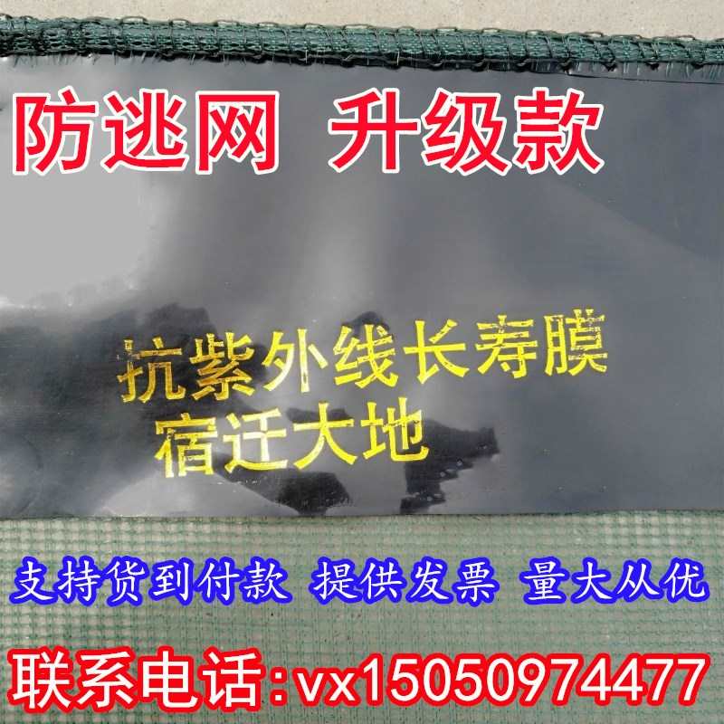 小强渔网店