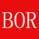 BORYOZA摄影器材的LOGO