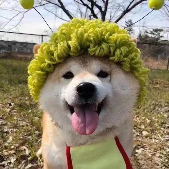 帝轩堂