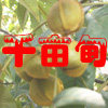 杭州临安千亩甸土特产经营部