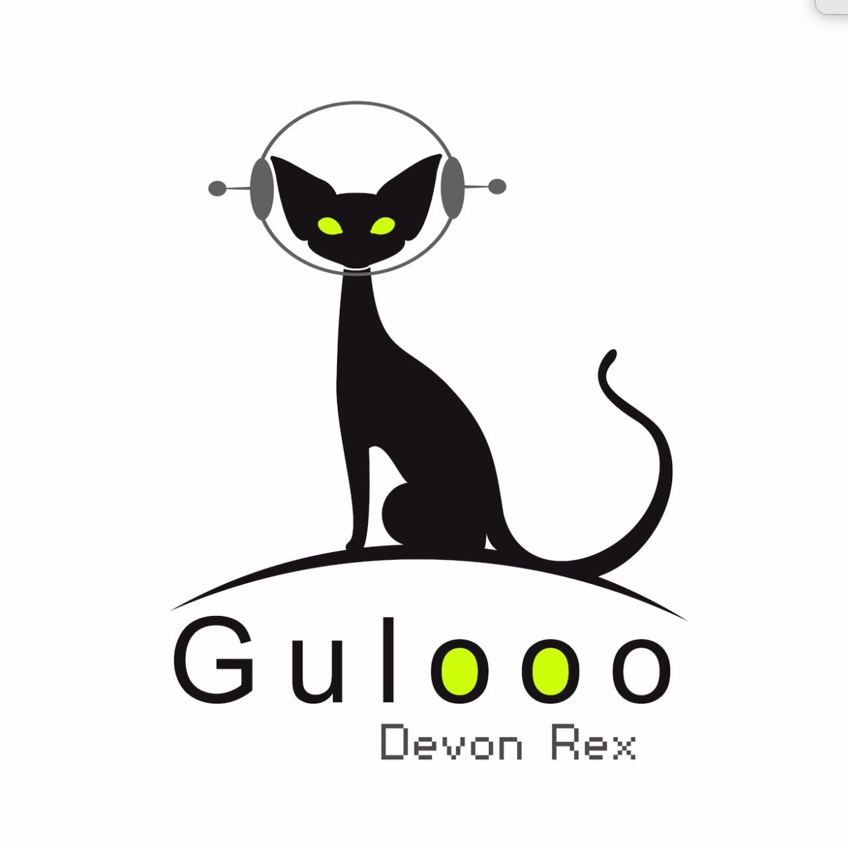 德文卷毛猫Gulooo