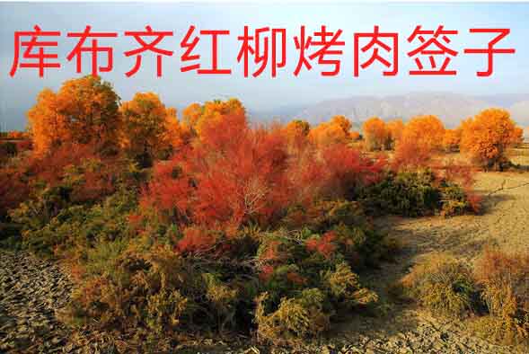 库布齐红柳烤肉签子