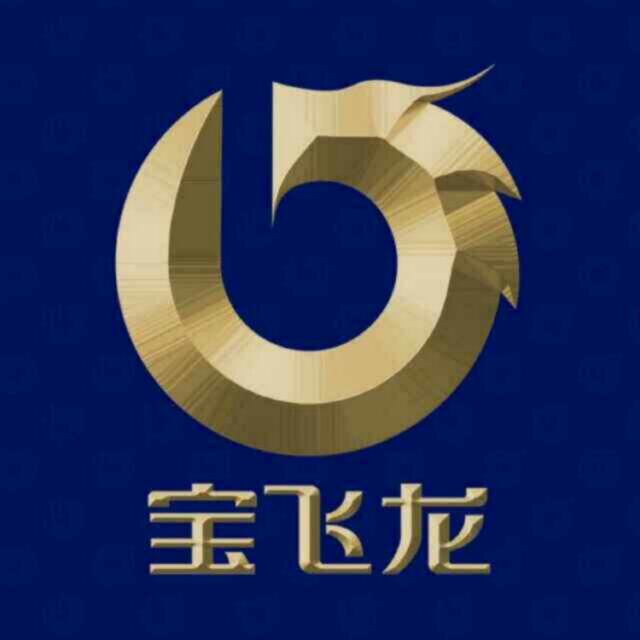宝飞龙正品渔具店