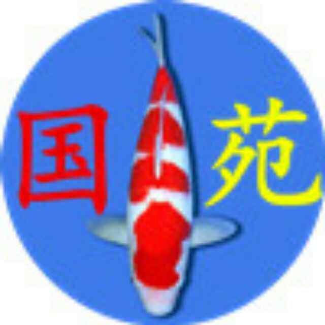国苑锦鲤的LOGO