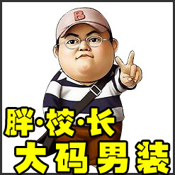 胖校长大码店