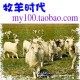 牧羊时代