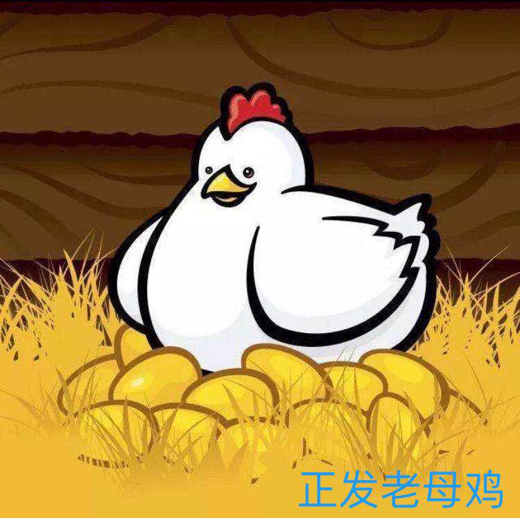 正发8888