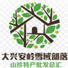 大兴安岭雪域部落山珍特产的LOGO