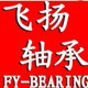 飞扬精工科技