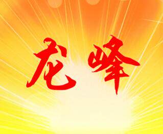 泰州龙峰绳网有限公司