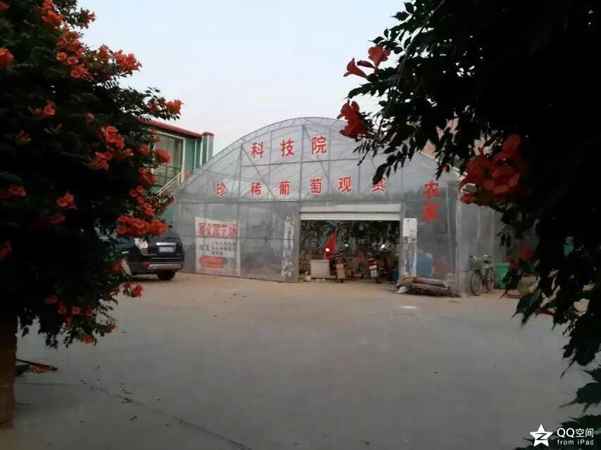 青岛赫硕星火苗木有限公司企业店