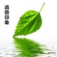 清徽印象家居的LOGO