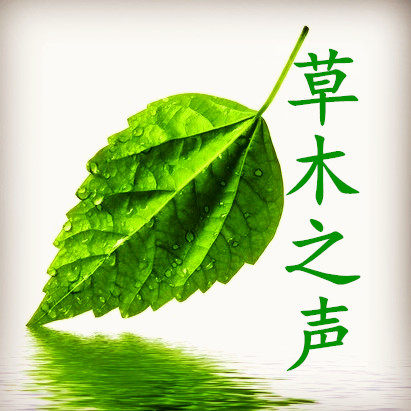 草木之声