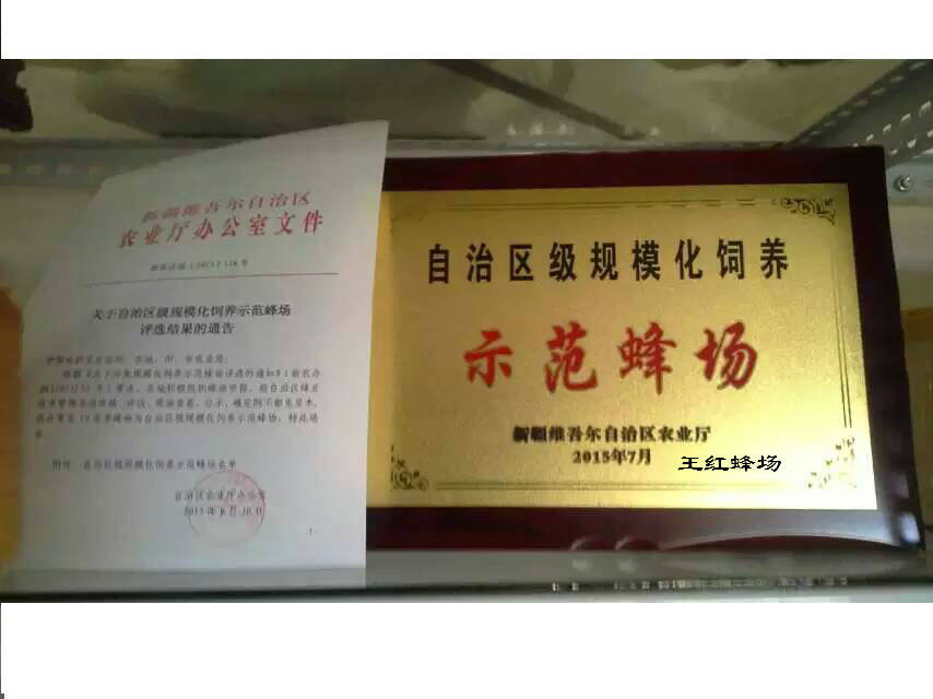 新疆的蜂蜜企业店