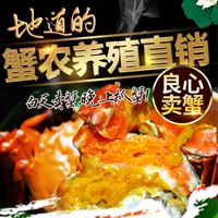 木子家洪泽湖大闸蟹