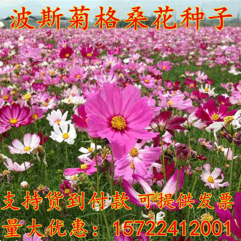 江苏诚英园林绿化有限公司官方企业店的LOGO