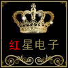赛格红星电子的LOGO