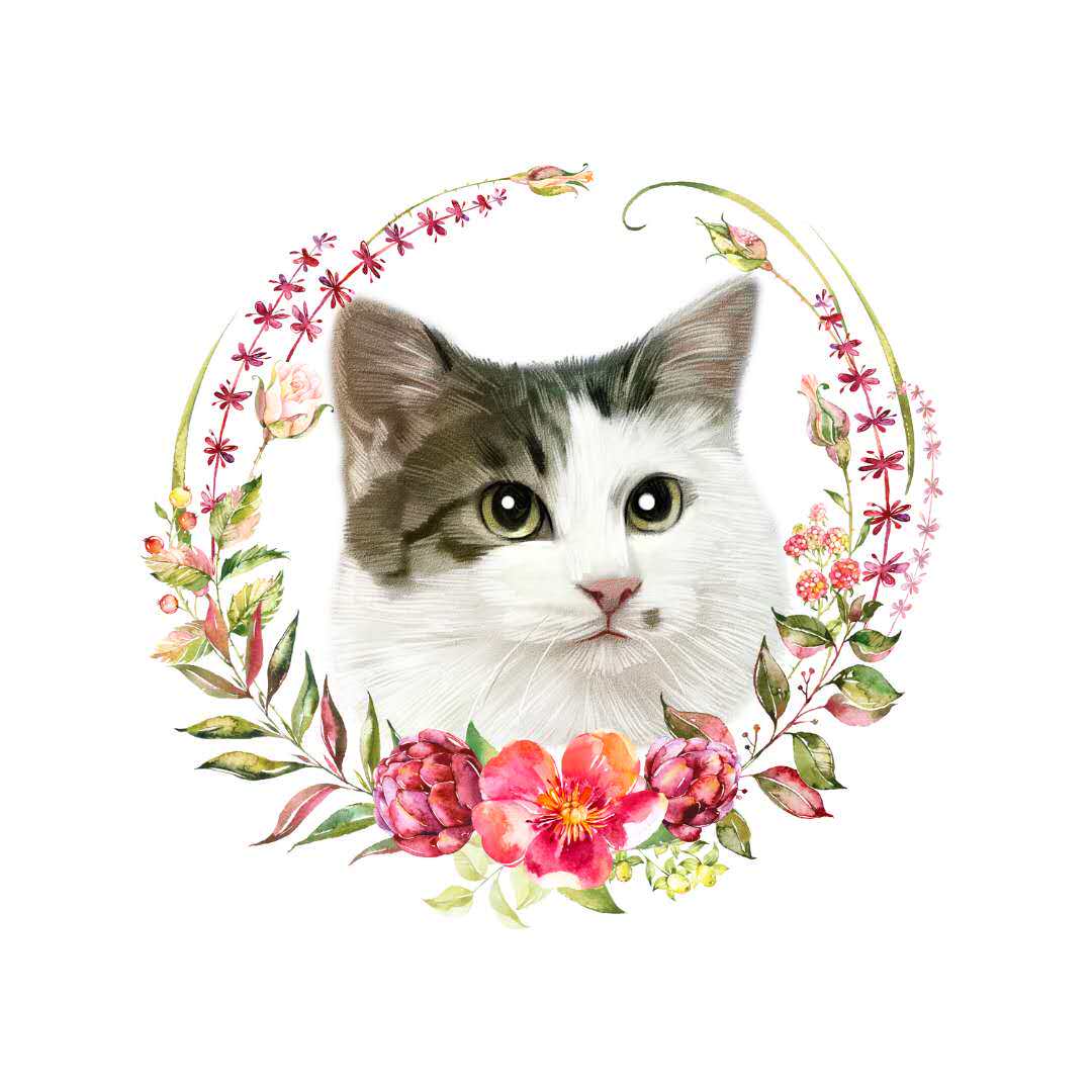 猫胖儿宠物用品折扣超市