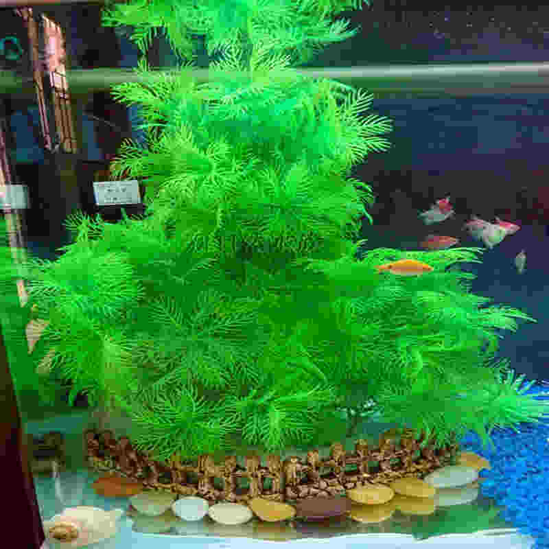 云婧漫琳水族的LOGO