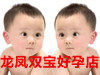 龙凤母婴生活馆的LOGO