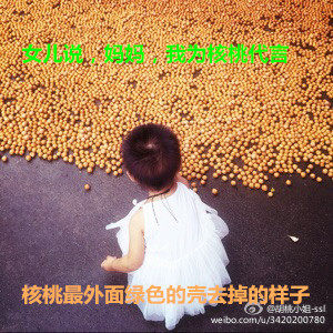 老帅家的山核桃