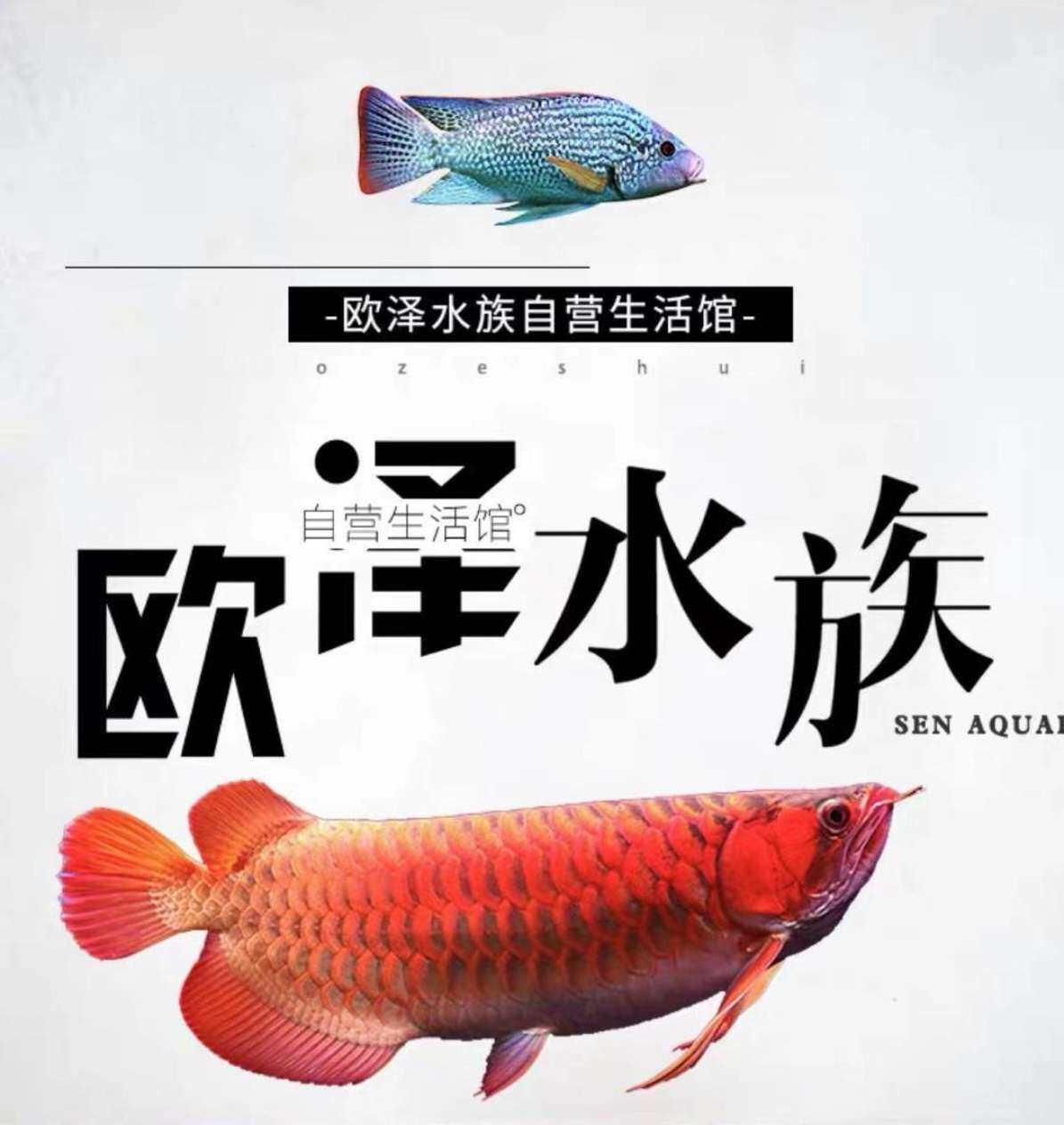 欧泽水族生活馆的LOGO