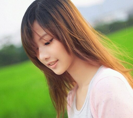 中顺厨电商贸