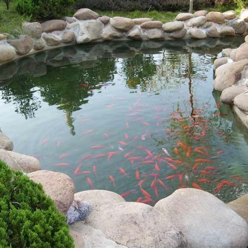 深圳唯美花坊