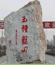 遇见蓝田玉