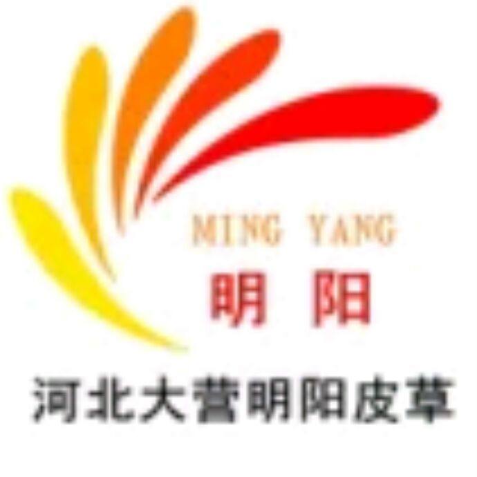 名扬皮业