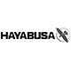 hayabusa中国