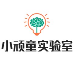 小顽童实验室