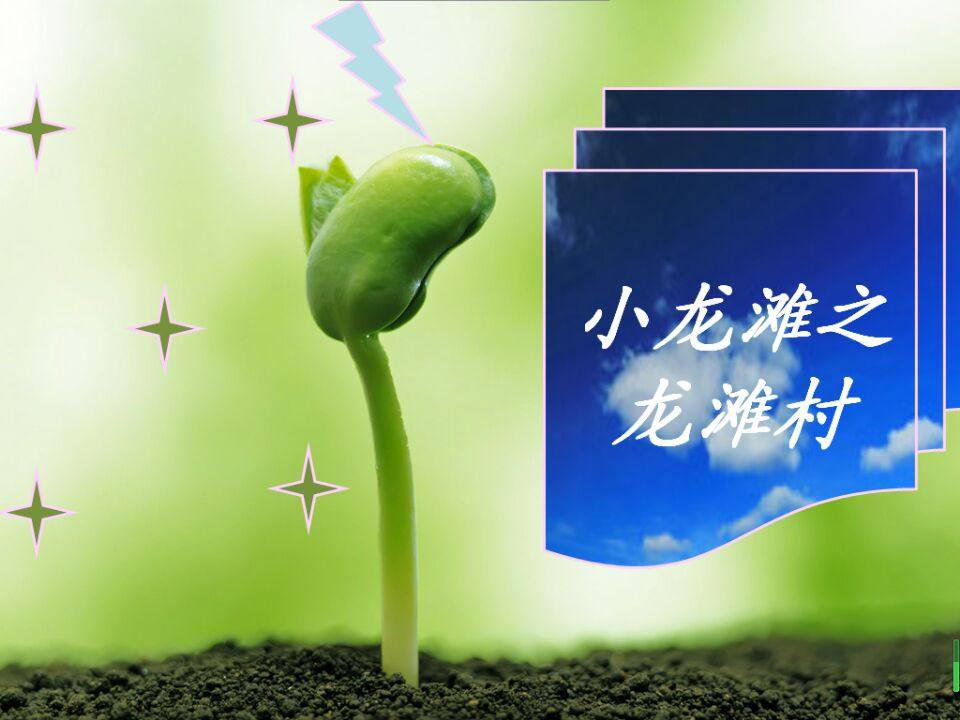 潼南张记食品的LOGO