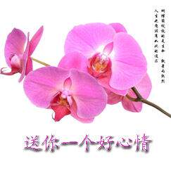 长城电热科技
