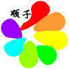 上海顺子光学