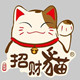 飞鱼优选品牌店的LOGO
