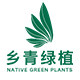 乡青绿植工厂