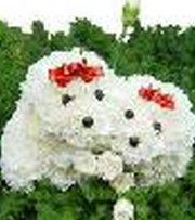 上海小福子花店