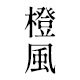 橙风 植物精油清洁的LOGO