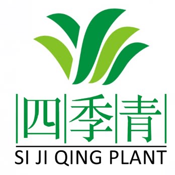 四季青苗木种植专业合作社