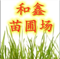咸安区何鑫苗圃场