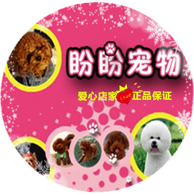 盼盼宠物天地