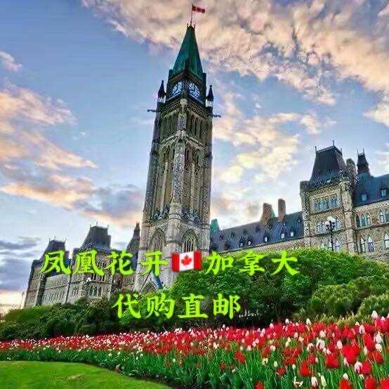 凤凰花开在加拿大的LOGO