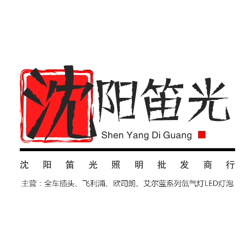 沈阳笛光汽车照明批发商行的LOGO