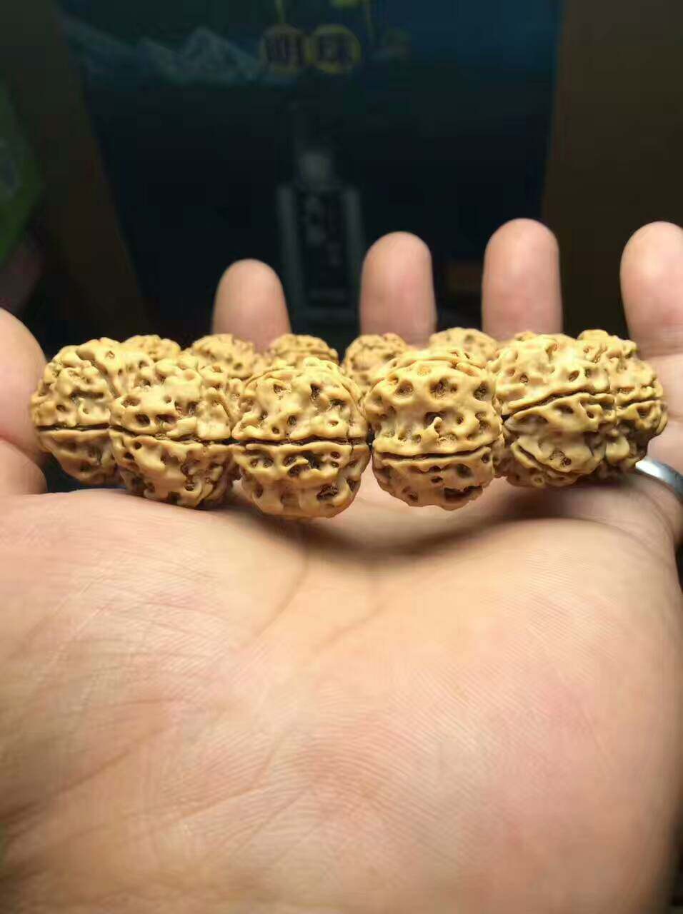宝哥金刚批发