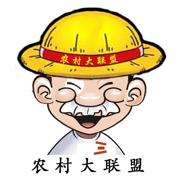 农村大联盟