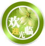 南少林汽车商城